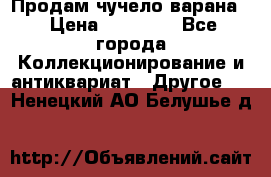 Продам чучело варана. › Цена ­ 15 000 - Все города Коллекционирование и антиквариат » Другое   . Ненецкий АО,Белушье д.